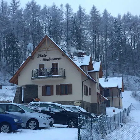 Zlote Modrzewie דירה *