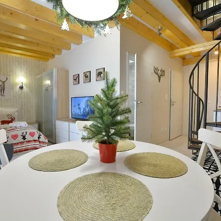 Zlote Modrzewie Apartamento Duszniki Zdrój
