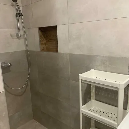 Apartment Zlote Modrzewie