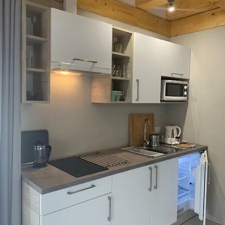 Zlote Modrzewie דירה *