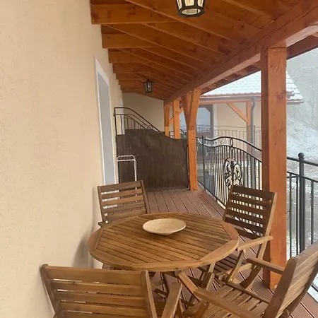 Zlote Modrzewie * דוז'ניקי ז'דרוז'