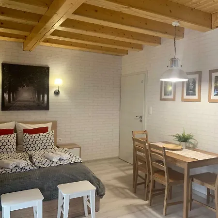 Zlote Modrzewie Apartment