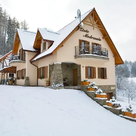 Zlote Modrzewie *