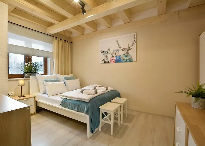 Zlote Modrzewie * ドゥシュニキ・ズドルイ