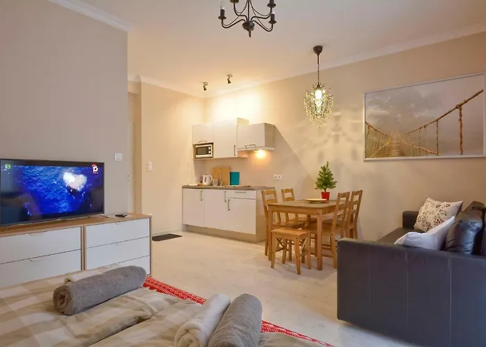 Zlote Modrzewie ドゥシュニキ・ズドルイ