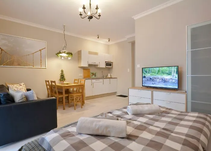 Zlote Modrzewie * ドゥシュニキ・ズドルイ