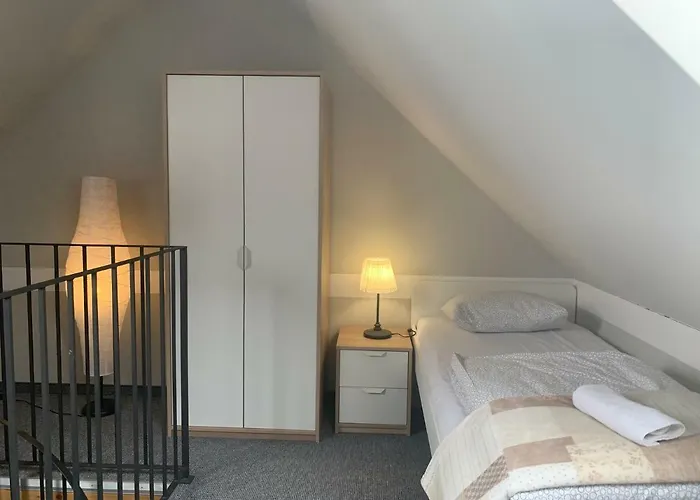 Zlote Modrzewie * ドゥシュニキ・ズドルイ