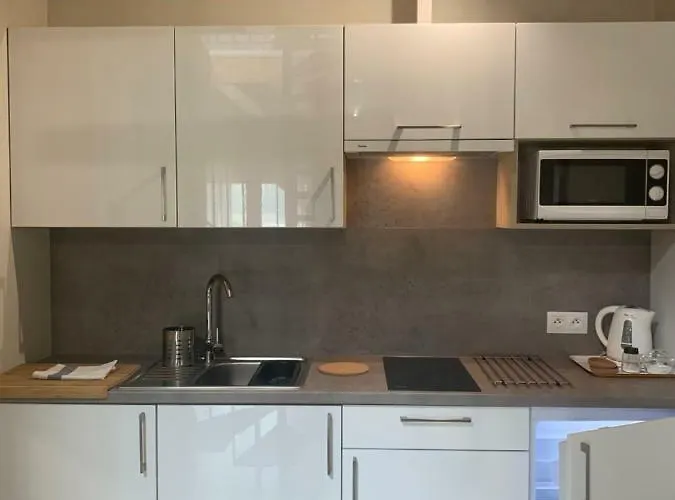 Zlote Modrzewie * ドゥシュニキ・ズドルイ